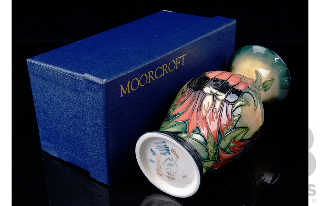 Limited Edition 37 of 500 Moorcroft Porcelain Sturt Desert Pea Vase in Original Box