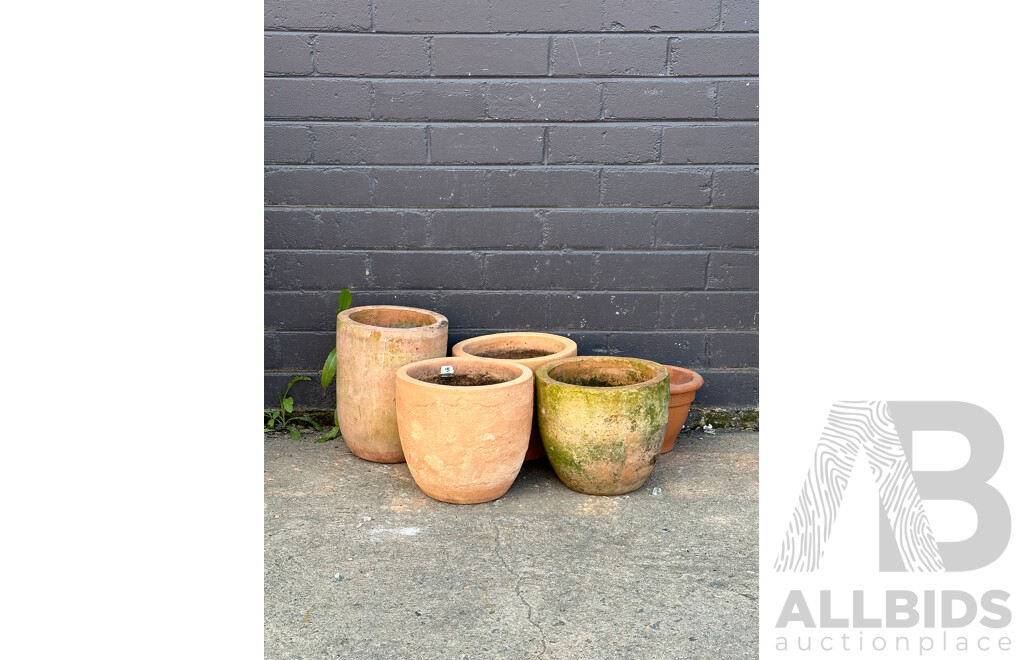 Collection of Terracotta Planters