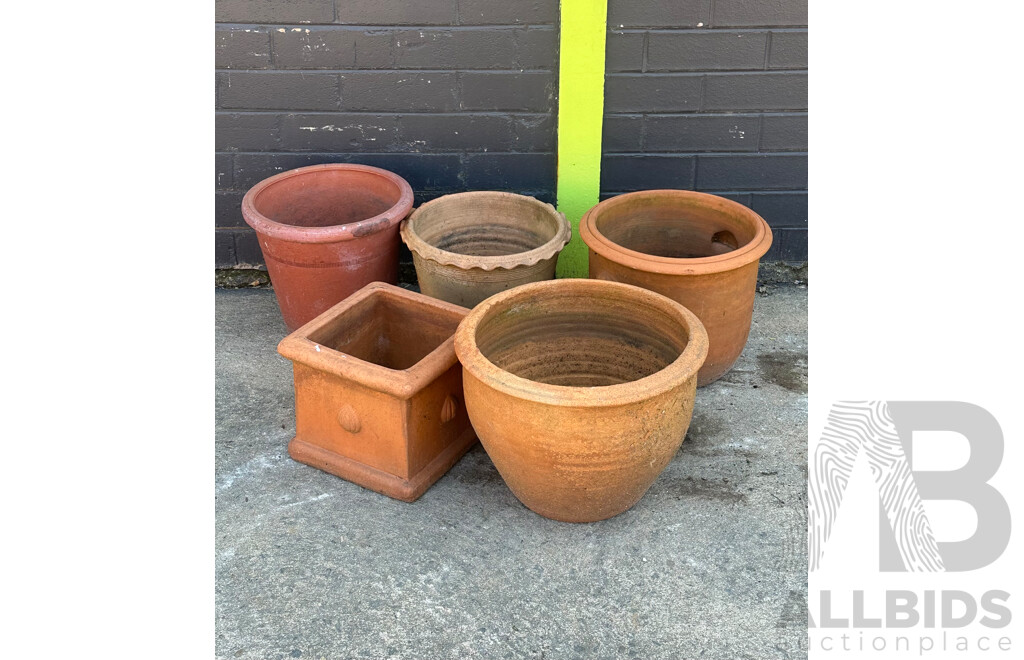 Large Collection of Terracotta Planters