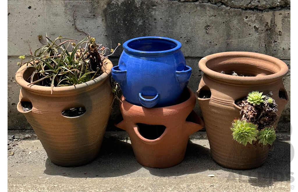 Set of Three Terracotta Strawberry Poys and Glazed Example (4)