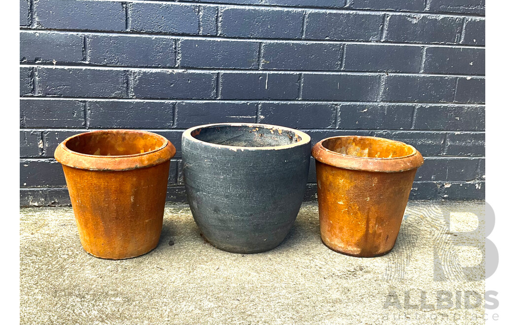 3 Terracotta Pot Plants