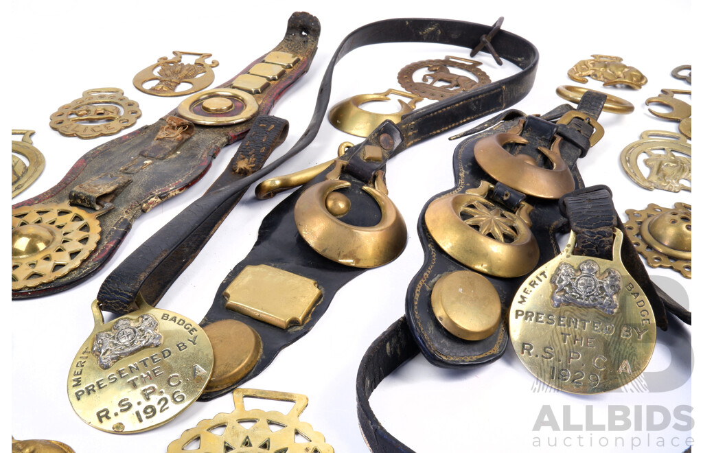 Collection Antique Horse Brasses and Leather Martingale Strap Including Merit Badge Presnted by RSPCA 1926 and More