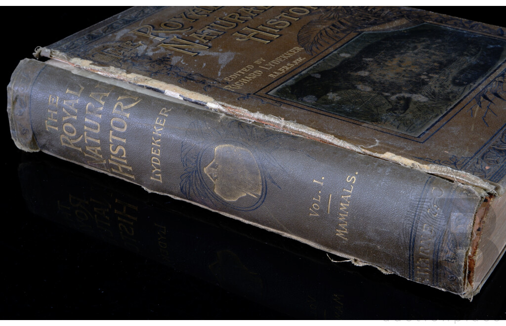 the Royal Natural History, Edited by R Lydekker, Volumes 1to 3, Frederick Warne & Co, London, 1893, Mostly Mammals by Same Author, 1903, Memories of the Months by Sir H Maxwell. 1912, All Hardcovers