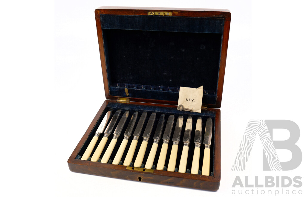 Antique 12 Piece Silver PLate Partial Fruit Set with Celluliod Handles and Sterling Silver Ferules on Knives, Sheffild 1912, in Wooden Case