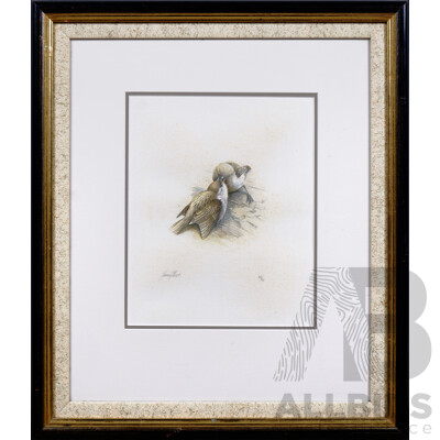 Jeremy Boot (born 1948), Sparrows, Limited Edition Print
