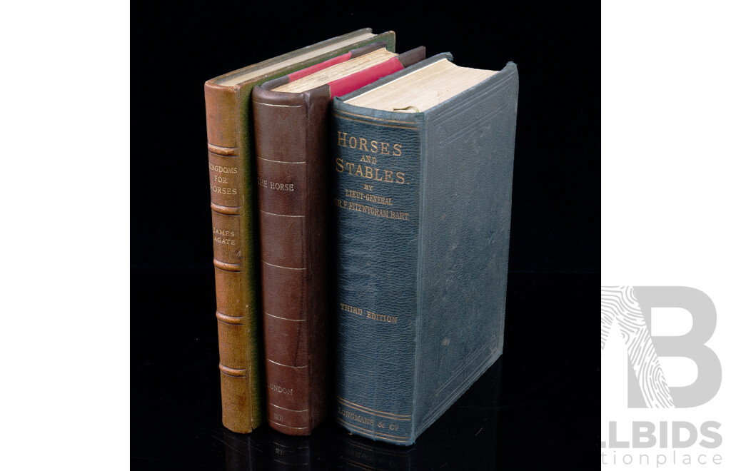 Collection Three Antique  Books Related to Horses Including the Horse with a Treatise on Draught 1851 Re Bound in Quarter Leather and More