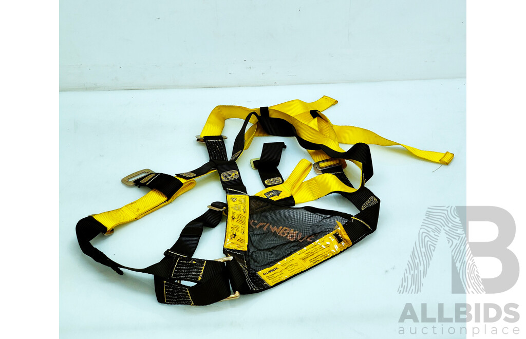 Assorted Lot of Ratchet TIe Down Straps, Ropes and Harnesses