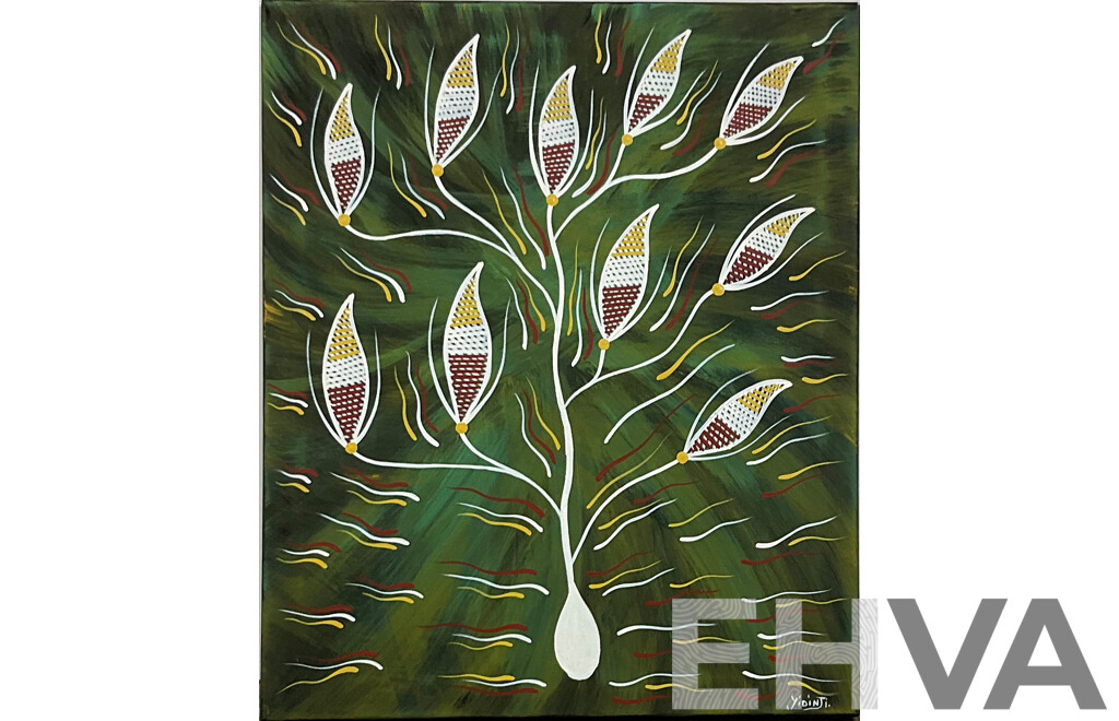 Greg Joseph (Yidinji), Waterlily Dreaming 2008, Acrylic on Canvas