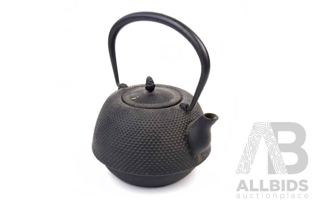 Japanese Nambu Style Iron Teapot