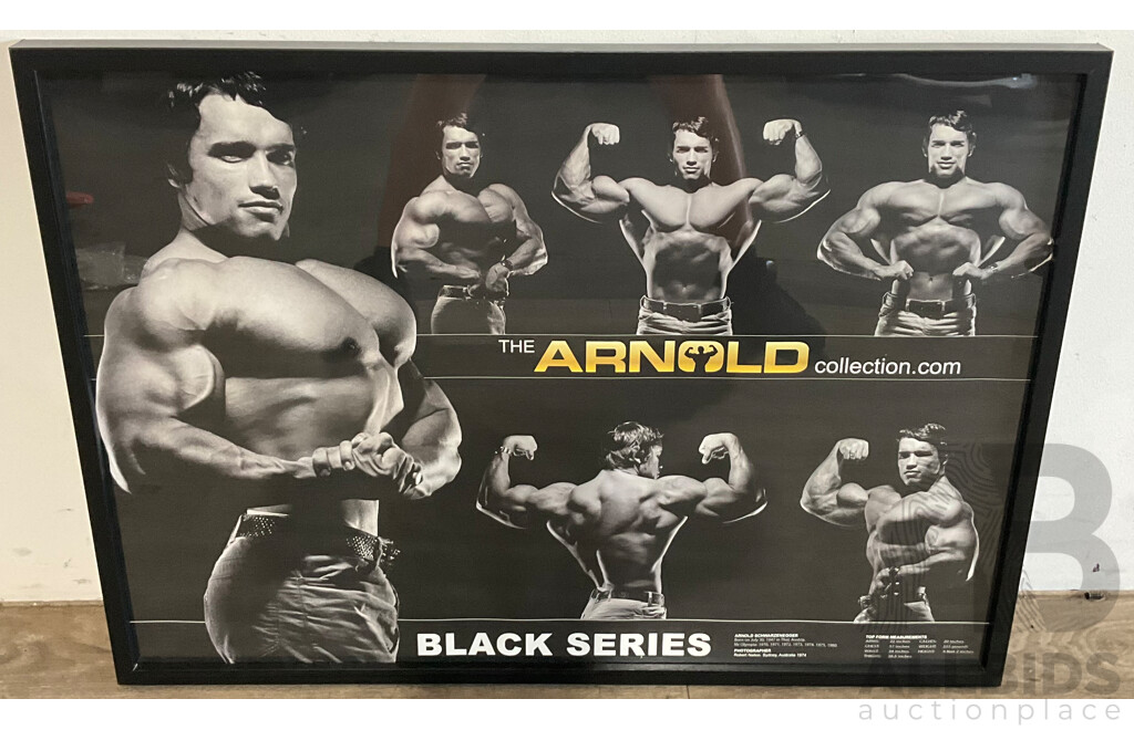 The Arnold Collection Poster - Black Series