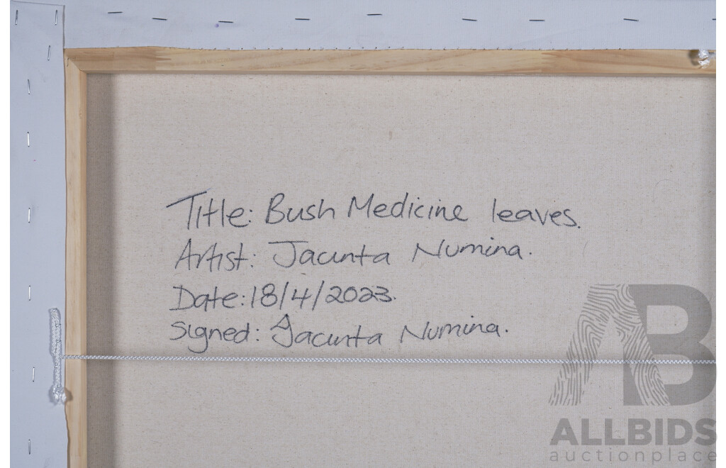Jacinta Numina Napananka (Born 1965), Bush Medicine Leaves, Acrylic on Canvas