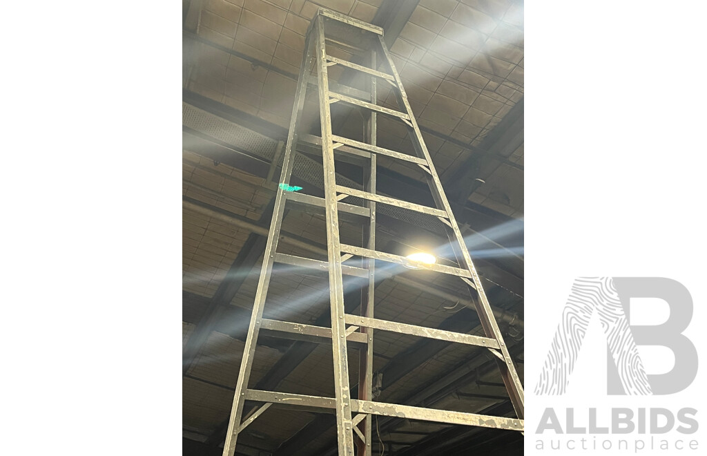 4.6m Ladder
