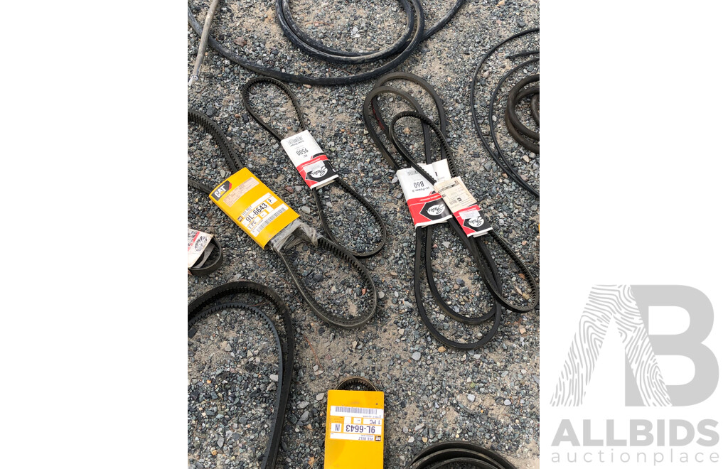 Quantity of Top Cog, Cat and Other Drive Train and Transmission Belts