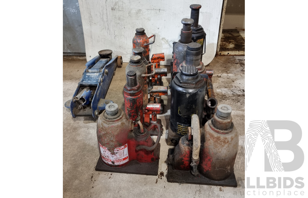Collection of Hydraulic Jacks