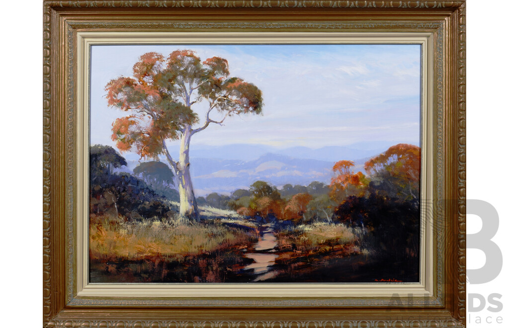 Mark Redzic, Farrer Ridge ACT, Oil on Canvas