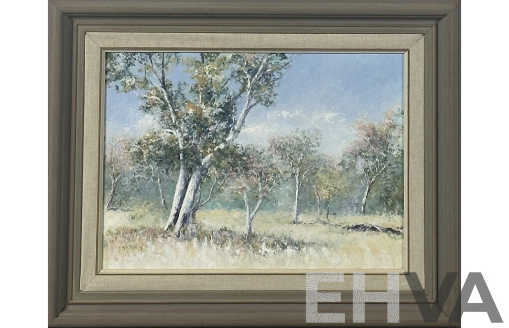 Jan Matson, (20th Century, Australian), Gum Trees - Namadgi Park, Oil on Canvas, 42 x 52 cm (frame)