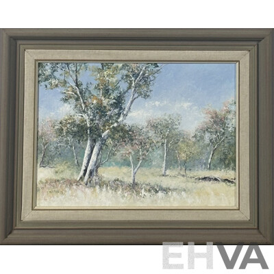 Jan Matson, (20th Century, Australian), Gum Trees - Namadgi Park, Oil on Canvas, 42 x 52 cm (frame)