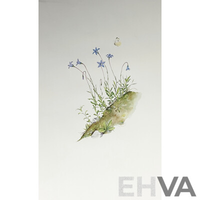 Terry Nolan, (20th Century, Australian, 1934-), Vintage Portfolio of Ten Victorian Alpine Wildflowers, Quality Reproduction Prints of the Originals, 76 x 51 cm
