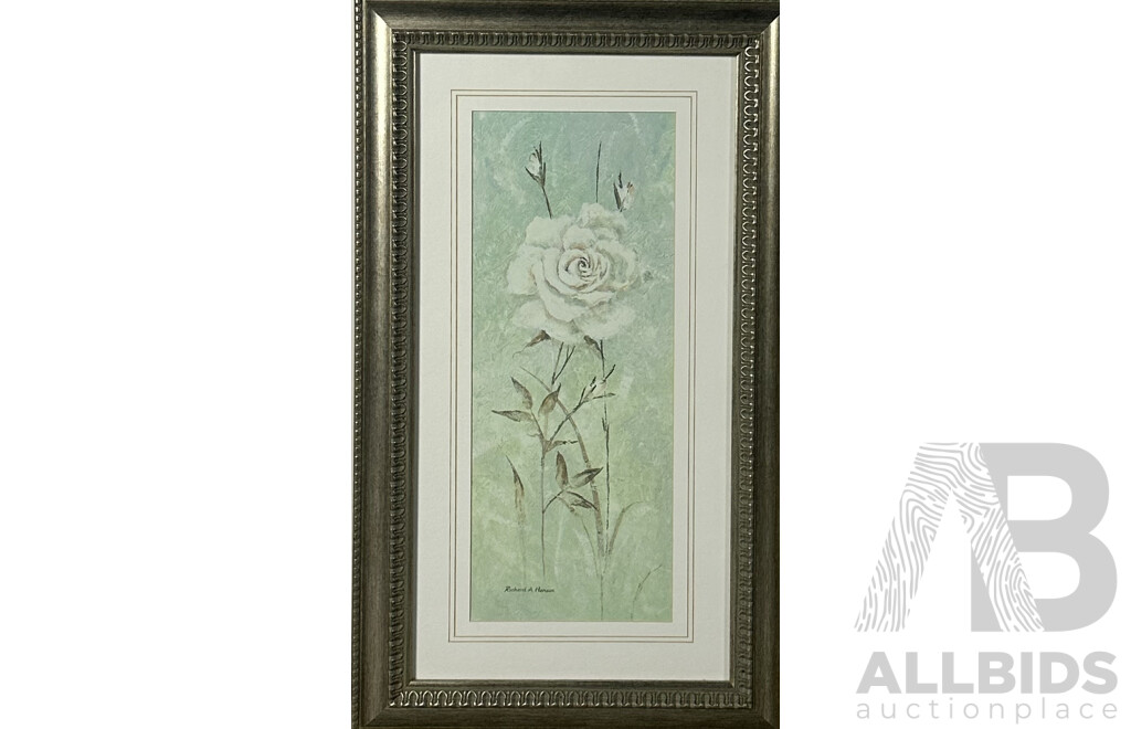 Richard a Henson, (Contemporary), Study of White Rose I and II, Pair of Framed Reproduction Colour Prints of Original, 72 x 42 cm (frame) (2)