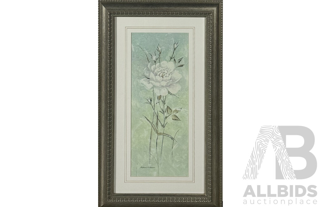 Richard a Henson, (Contemporary), Study of White Rose I and II, Pair of Framed Reproduction Colour Prints of Original, 72 x 42 cm (frame) (2)