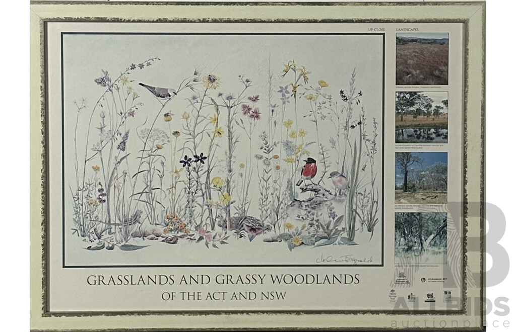 Helen Fitzgerald, (20th Century, Australian, 1945), Grasslands and Grassy Woodlands of the ACT and NSW, Reproduction Poster Print of Original Fitzgerald Watercolour From 2003, Alongside Four Landscape Woodlands and Grassland Photos, 66 x 90.5 cm (frame)