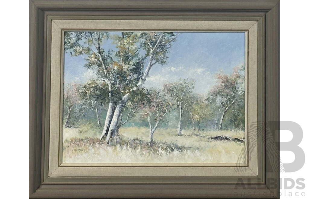 Jan Matson, (20th Century, Australian), Gum Trees - Namadgi Park, Oil on Canvas, 42 x 52 cm (frame)