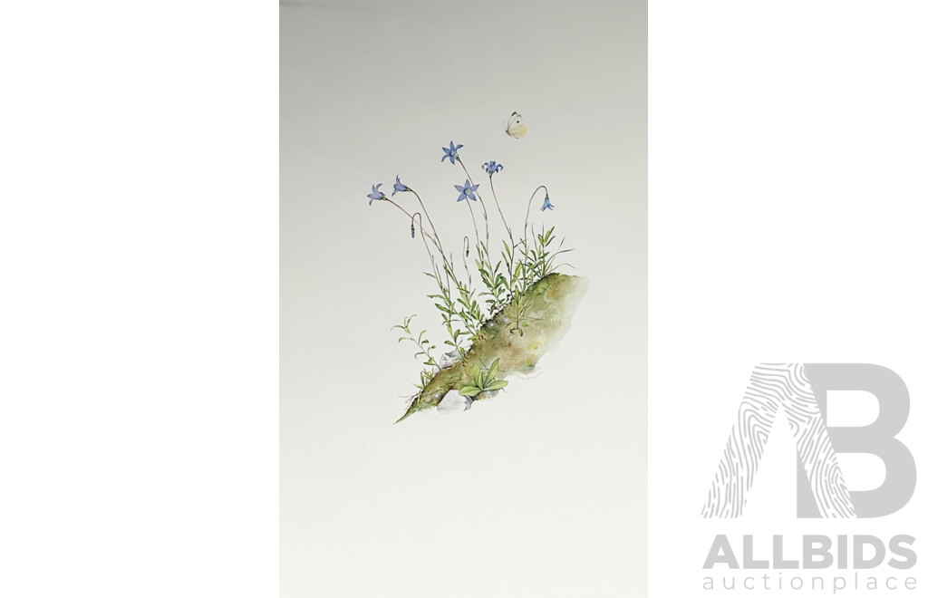 Terry Nolan, (20th Century, Australian, 1934-), Vintage Portfolio of Ten Victorian Alpine Wildflowers, Quality Reproduction Prints of the Originals, 76 x 51 cm