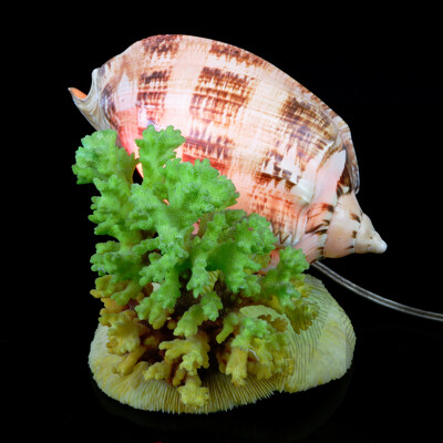 Vintage Lamp with Shell and Two Varieties Coral