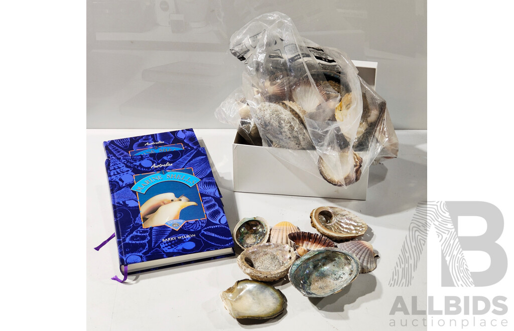 Assorted Lot of Sea Shells with 2 Books 'Australia Marine Shells'