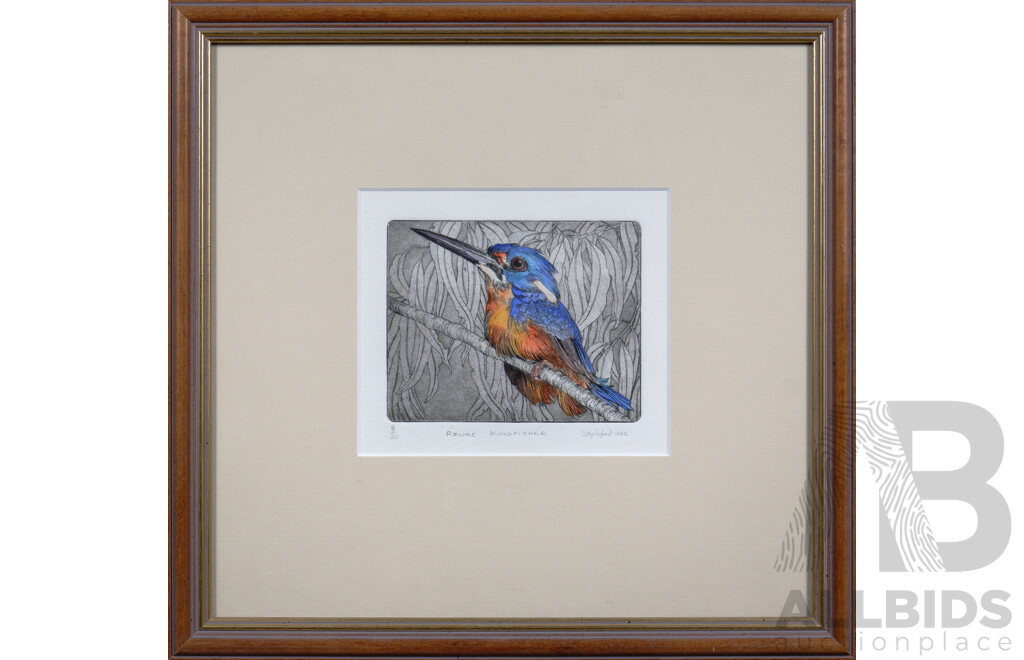 Jane Stapleford (Australian, Contemporary), Azure Kingfisher 1992, Hand-Coloured Etching