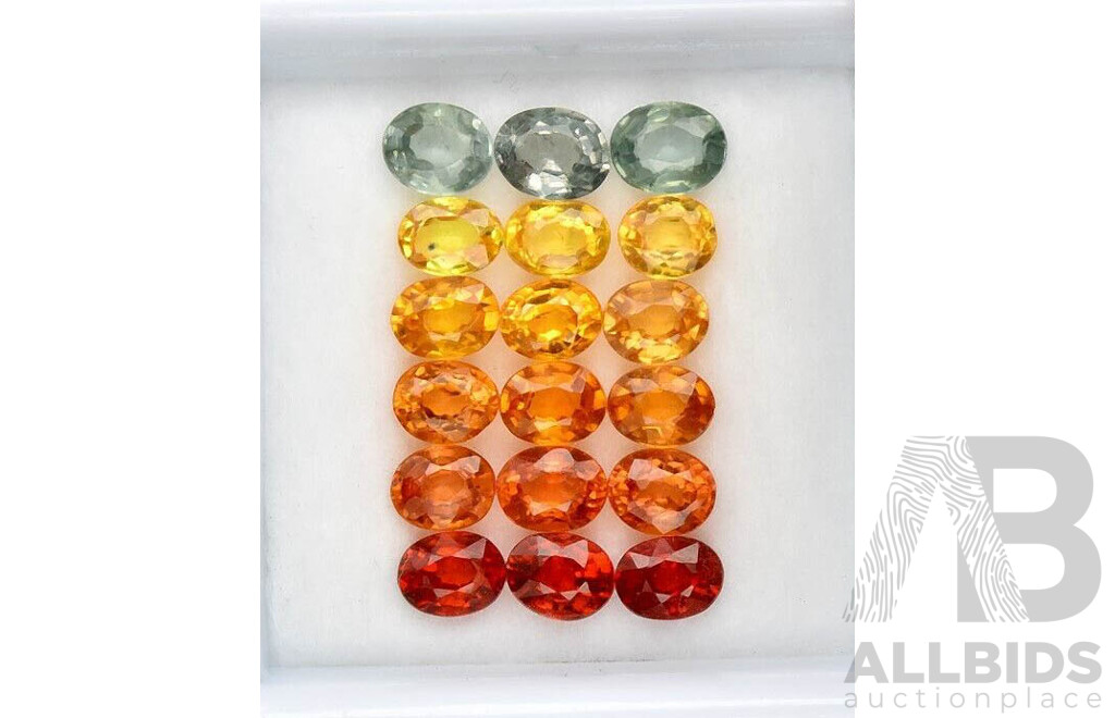 Natural Sapphires - Multi Colours - 18 Gems