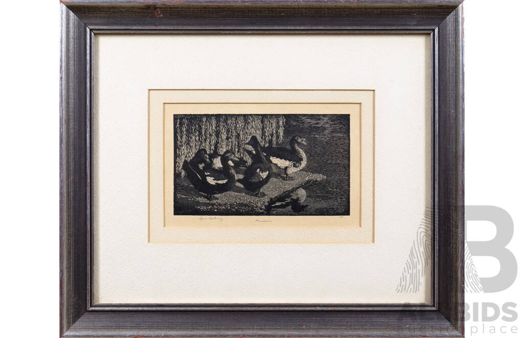 Lionel Lindsay (1874-1961), Muscovies 1924, Woodcut,