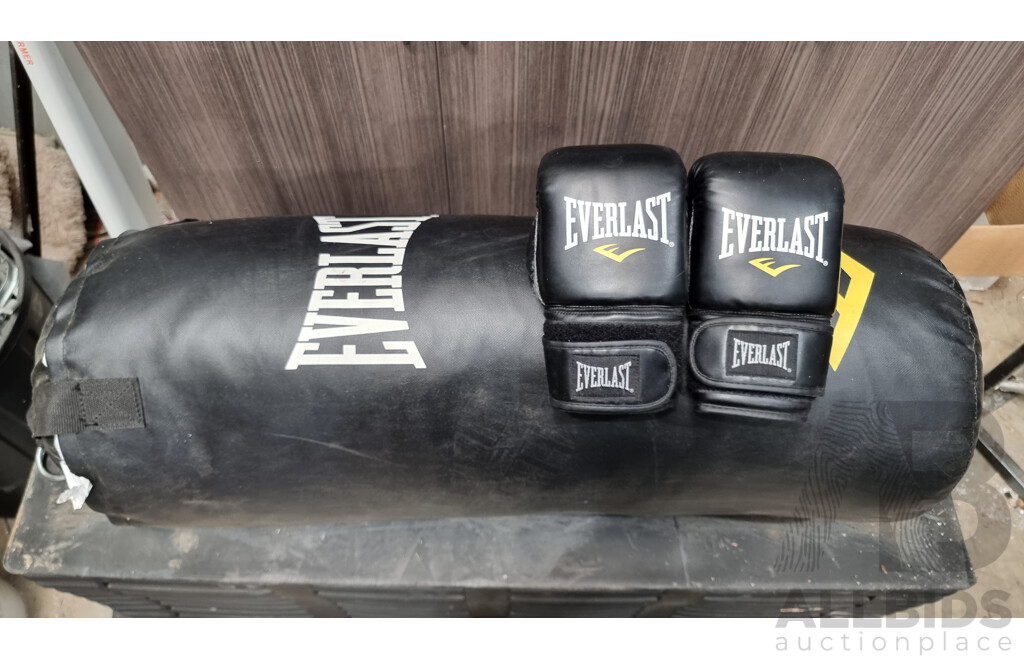 900mm Everlast Boxing Bag with Boxing Gloves