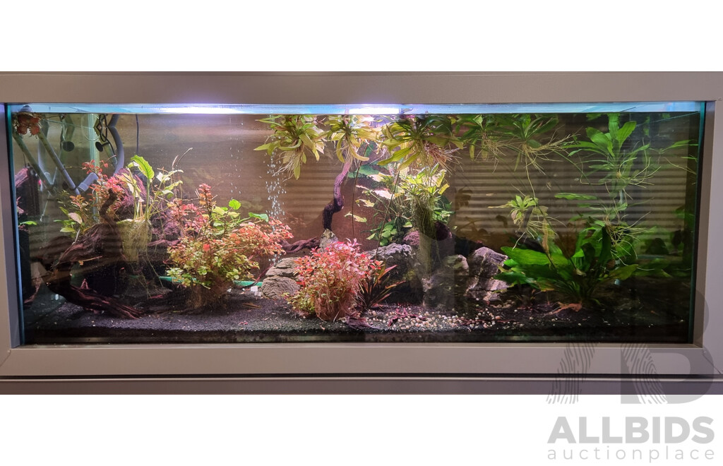 Self-Sustaining Ecosystem Aquarium