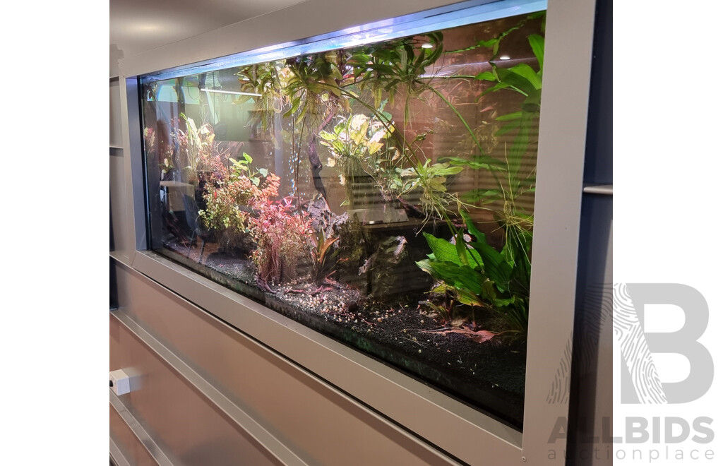 Self-Sustaining Ecosystem Aquarium