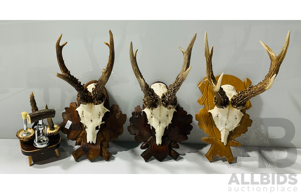 Trio of Vintage German Deer Skulls and Horns Mounted to Carved Wooden Plaques, Alongside Faux Horn Drinks Accessories