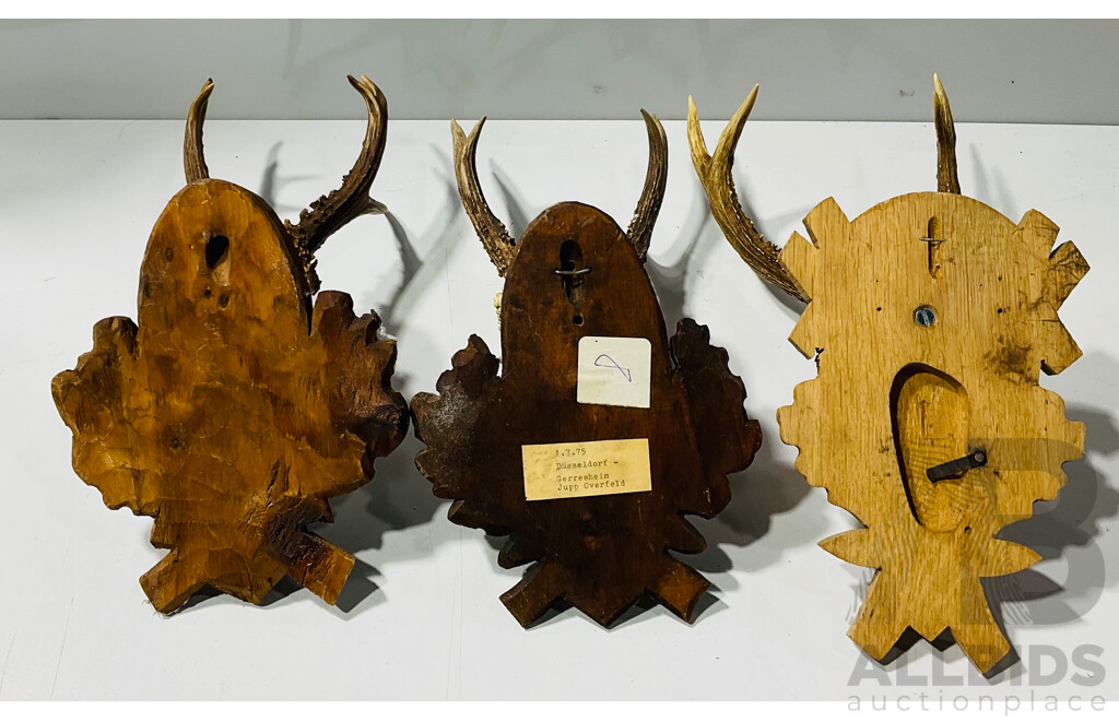 Trio of Vintage German Deer Skulls and Horns Mounted to Carved Wooden Plaques, Alongside Faux Horn Drinks Accessories