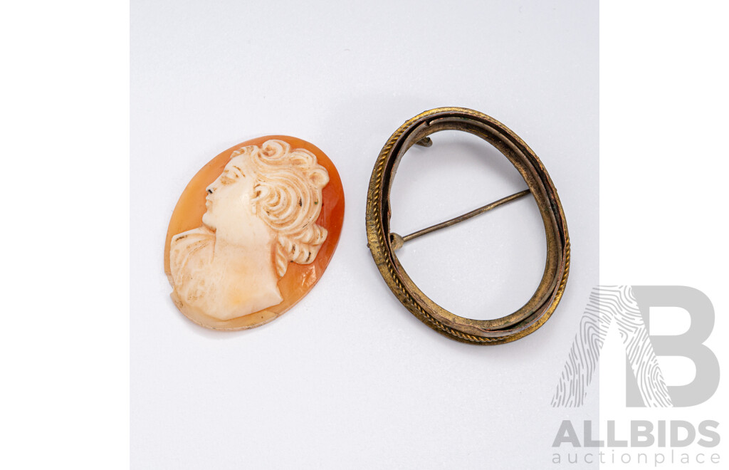 Vintage Hand Carved Shell Cameo, Unset From Brooch, 30mm X 23mm