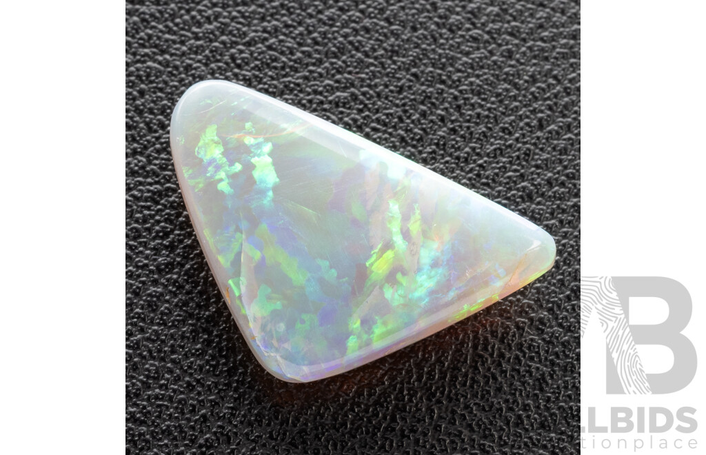 Australian Black Opal, Solid Trilliant Cut Cabochon, 7.40ct