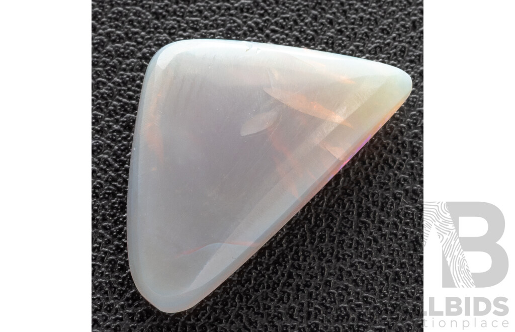 Australian Black Opal, Solid Trilliant Cut Cabochon, 7.40ct