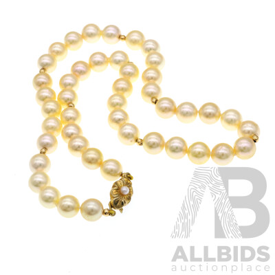 Stunning Akoya Pearl Necklace, 42cm Long, with Gold Plated Sterling Silver Clasp