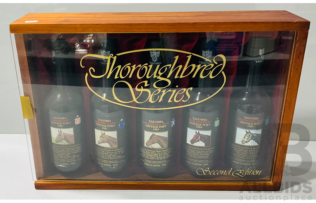 Thoroughbred Series Second Edition - Five Yalumba Bottles of Vintage Port in Wooden Velvet Lined Display Crate - From 1981, 1982, 1983, 1984 and 1985