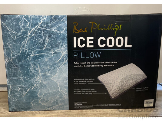 BAS PHILLIPS Ice Cool Pillow Lot of 2