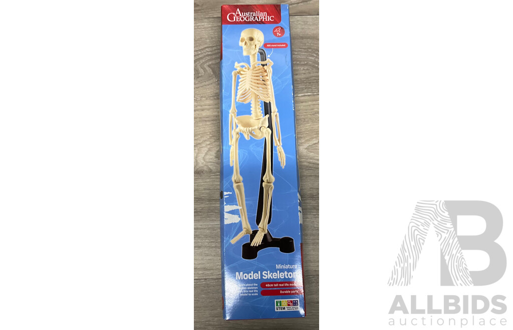 AUSTRALIAN GEOGRAPHIC Human Anatomy Model/Model Skeleton/Bug Barn X2 - Lot of 4