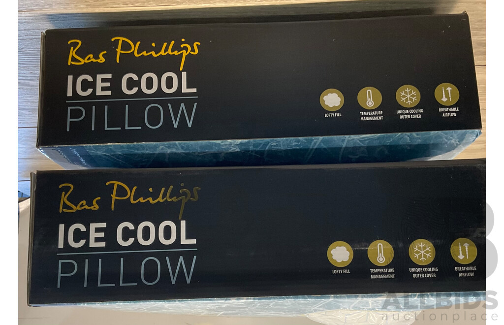 BAS PHILLIPS Ice Cool Pillow - Lot of 2