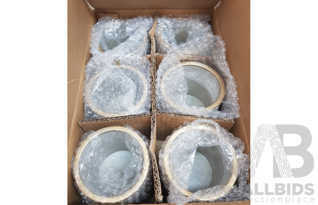Ceramique by Koch Cement Viola Cylinder Pot (Box of 12)