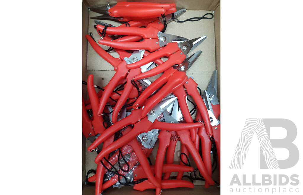 Metal Flower Buckets and Pruning Shears