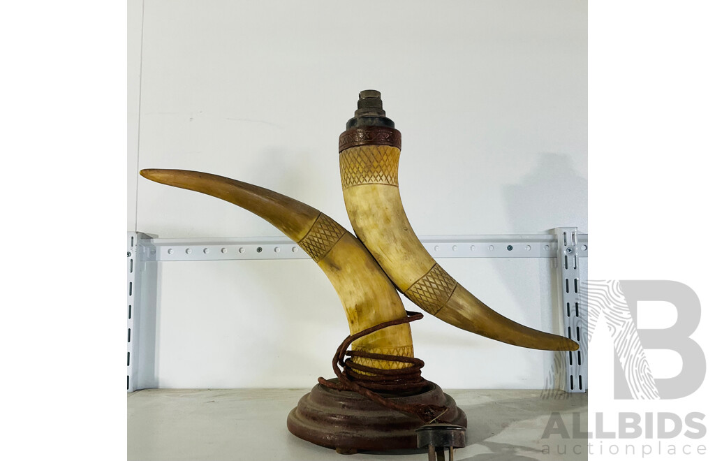 Buffalo Horn Lamp Without Lightbulb and Damaged Cable