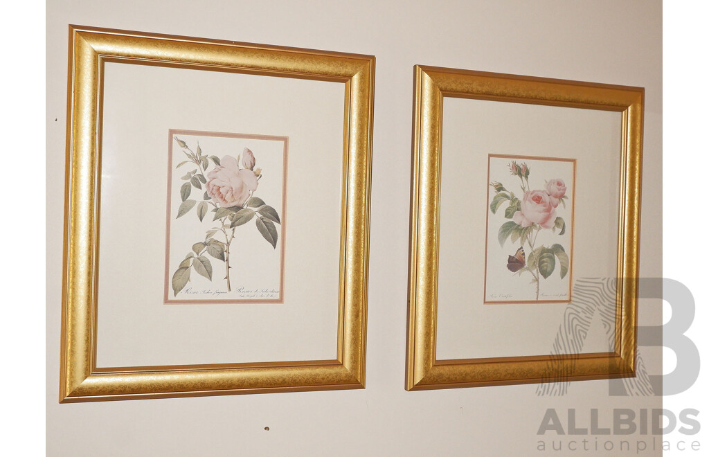 Pair of Gilt Framed Botanical Prints