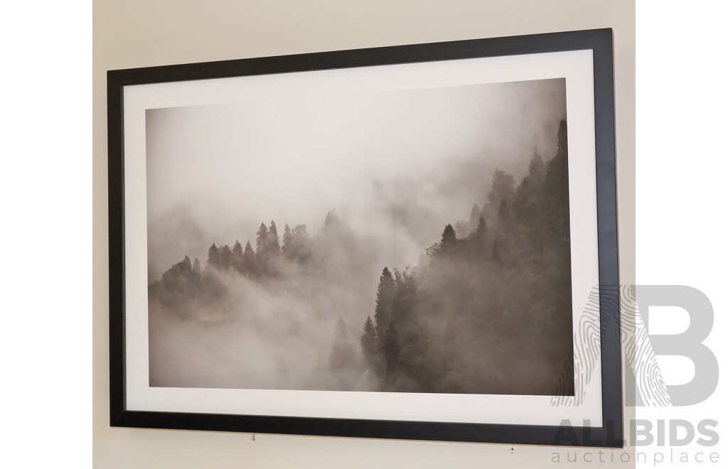 Framed Contemporary Photographic Print of a Pine Forest